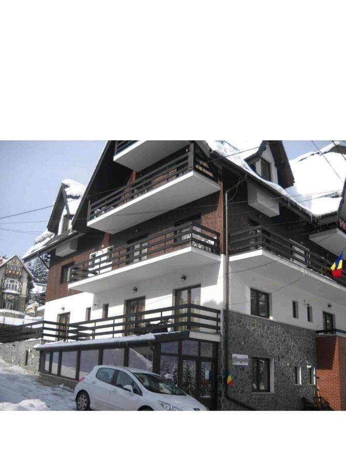 Residence Sinaia Apartment Екстер'єр фото