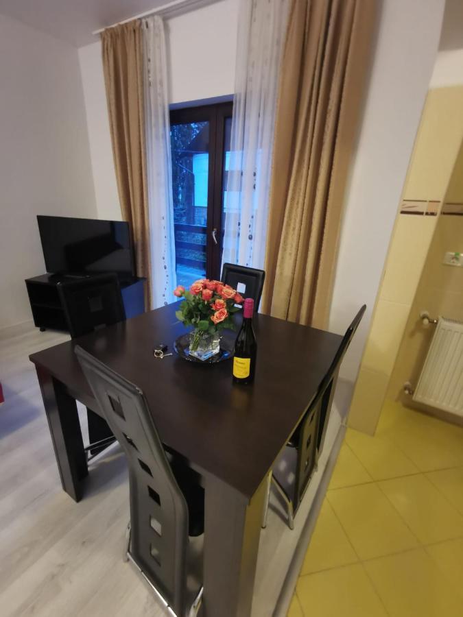 Residence Sinaia Apartment Екстер'єр фото