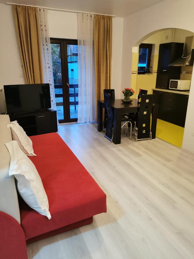 Residence Sinaia Apartment Екстер'єр фото