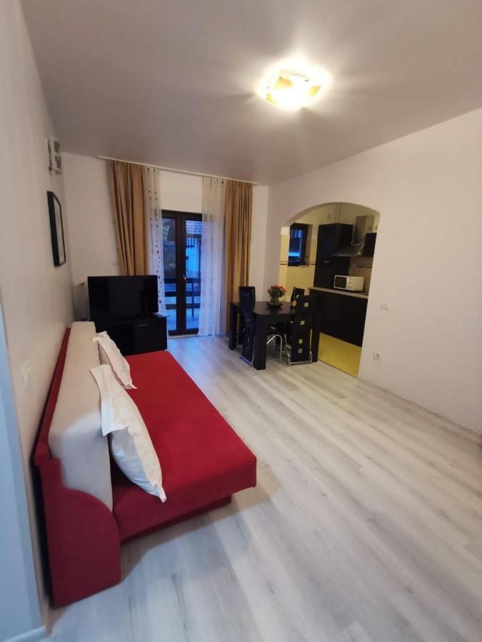 Residence Sinaia Apartment Екстер'єр фото